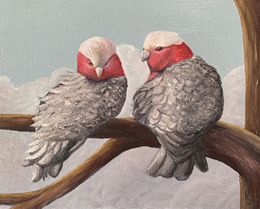 a-couple-of-wind-swept-gallahs