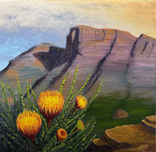 Beauty and the Bluff
